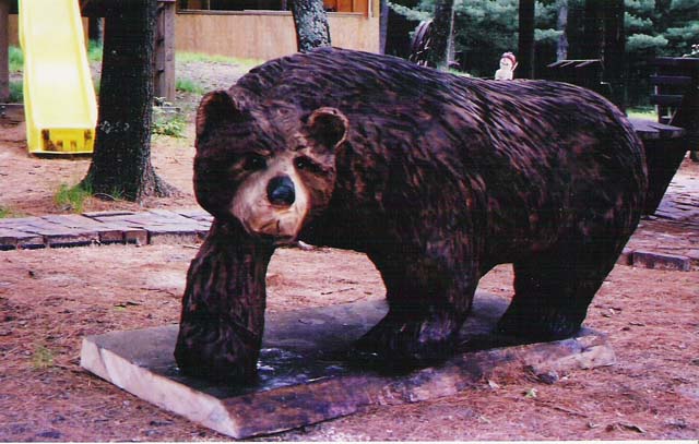 Bear on All Fours